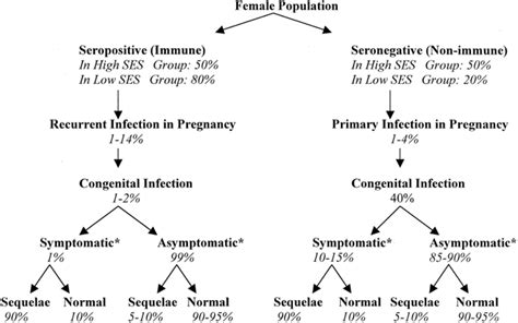 Cytomegalovirus in Pregnancy | GLOWM