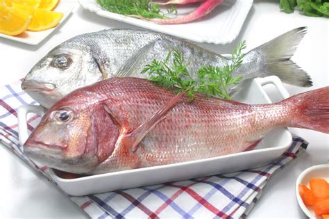 Receta ¡Cómo saber si el pescado está fresco! - Ybarra en tu cocina