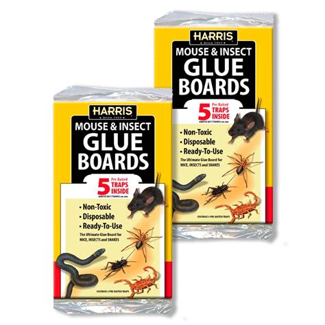 Harris Pest Glue Board, (10-Pack)-GB5-2PK - The Home Depot