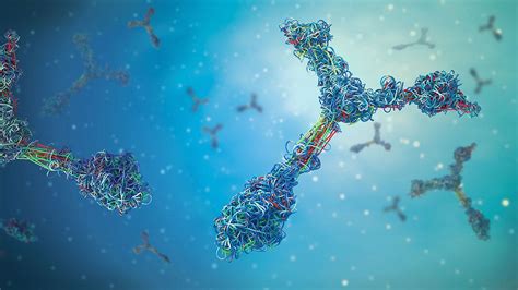 An Overview of Antibody Structure, Isotypes & Functions | Danaher Life Sciences