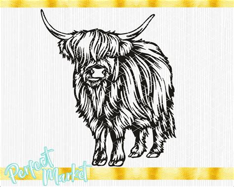 Cow Clipart, Cow Vector, Diy Canvas Art, Canvas Art Painting, Highland Calf, Embroidering ...