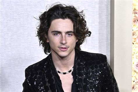 Timothee Chalamet Oscars 2024 Outglaad Awards 2024 Date - Alida Madeleine