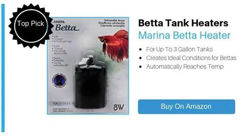 5 Best Betta Heaters For 1, 5 and 10 Gallon Betta Tanks - 2019