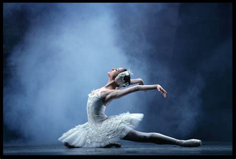 A different take on The Dying Swan... — A Dancer's Life