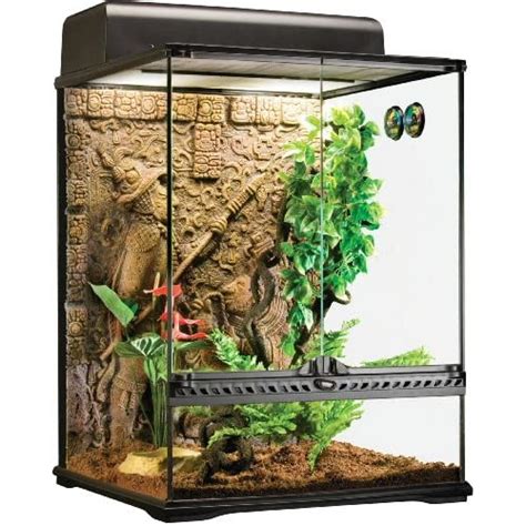 Best Crested Gecko Cage 2021: How big of a cage ? - Timeline Pets