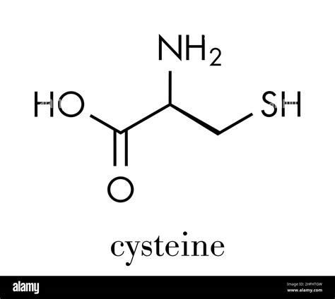 Cysteine Structure