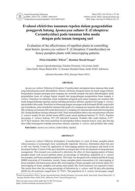 (PDF) Evaluasi efektivitas tanaman repelen dalam pengendalian penggerek batang Apomecyna ...