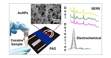 Gold Nanoparticle Paper-Based Dual-Detection Device for Forensics Applications | ACS Applied ...