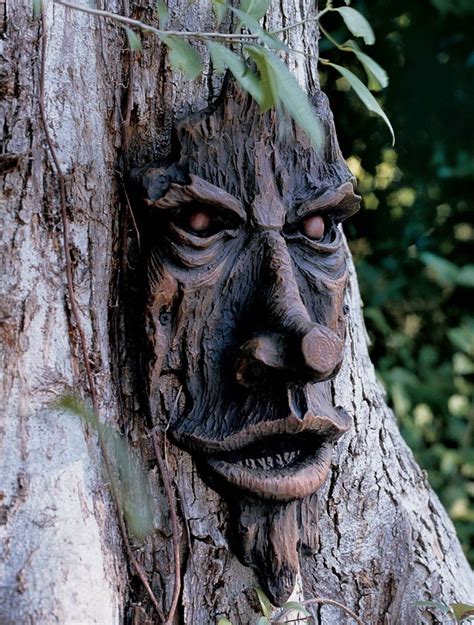 Greenman Tree Face | Gardener's Supply Tree People, Tree Faces, Tree Carving, Unique Trees ...