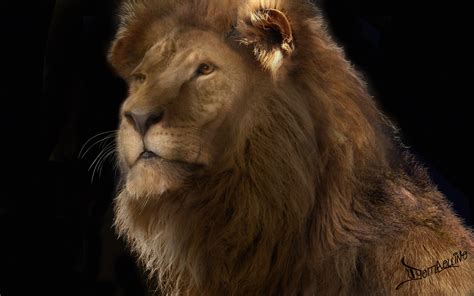 ArtStation - Lion Texture & Fur Study