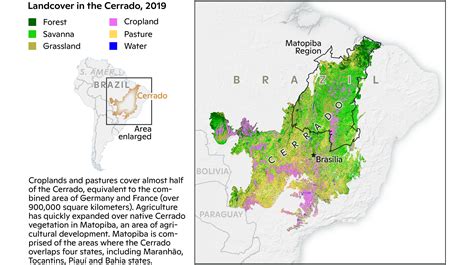 Half of the Cerrado is already gone. Here’s what that means for the ...