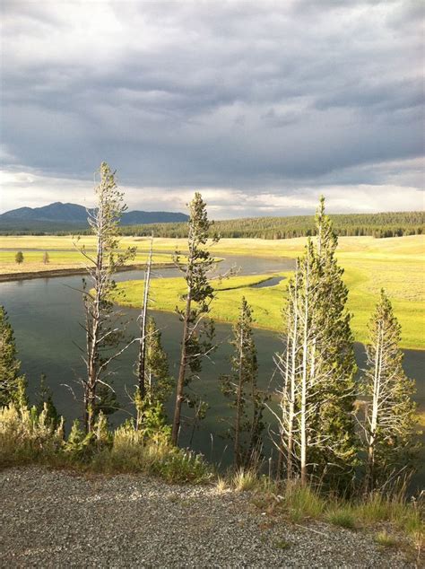 Hayden Valley, Yellowstone National Park - one of my absolute favorite places to view wildlife ...