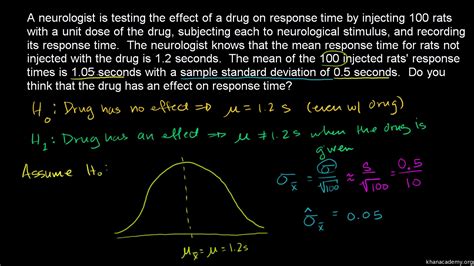 Hypothesis Examples