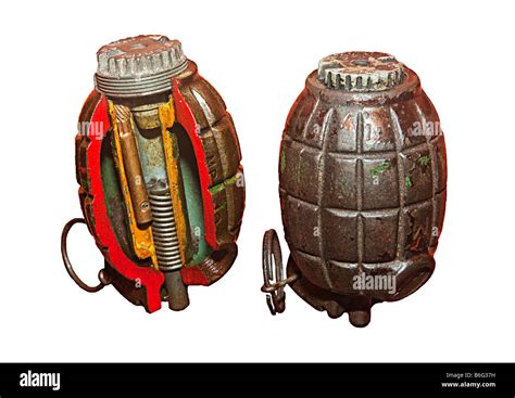 Mills bomb grenade as used by British army in the world wars cutaway ...