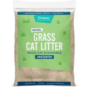 The 9 Best Cat Litter Alternatives of 2023