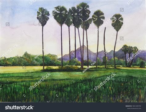 Watercolor Countryside Landscape Hand Drawing Watercolor Stock ...