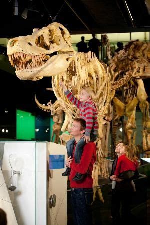 Visitors enjoying the Dinosaur Walk exhibition - Melbourne museum | Melbourne museum, Melbourne ...