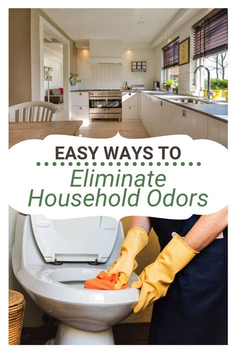 10 Best Odor Eliminator Ideas for Your Home | Love My Drops