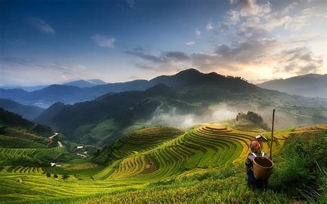 Mucangchai, sunset, plantations, rice fields, Vietnam, HD wallpaper | Peakpx