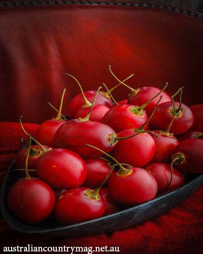 TASTY TAMARILLO RECIPES - Australia Country Magazine