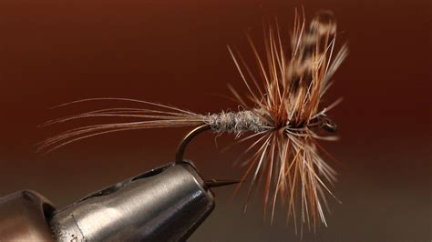 Adams Dry Fly | Fly tying, Fly fishing, Fly tying patterns