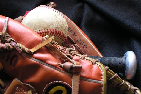 Top 7 Softball Gear Ideas for Beginners