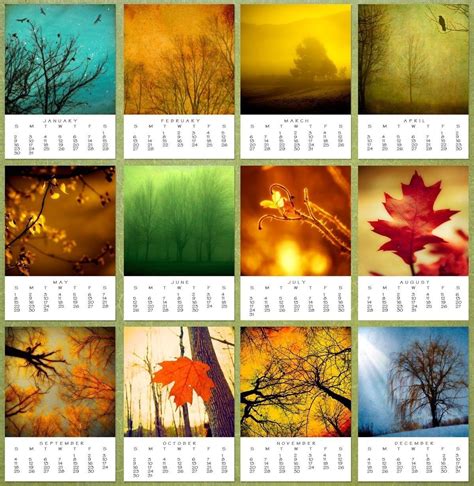 a calendar with many different pictures of trees and leaves on it's side, including the fall season