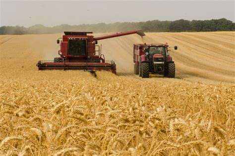 Russia harvested 147 mln metric tons of grain in 2023 — Agriculture ...