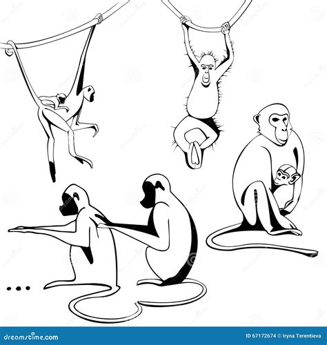 Sitting, Hanging Monkey. Outline Drawing Of A Black Line. Isolated ...