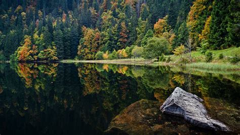 "HEAVENS ON EARTH": Black Forest mountain region, Germany & Black Forest Cake