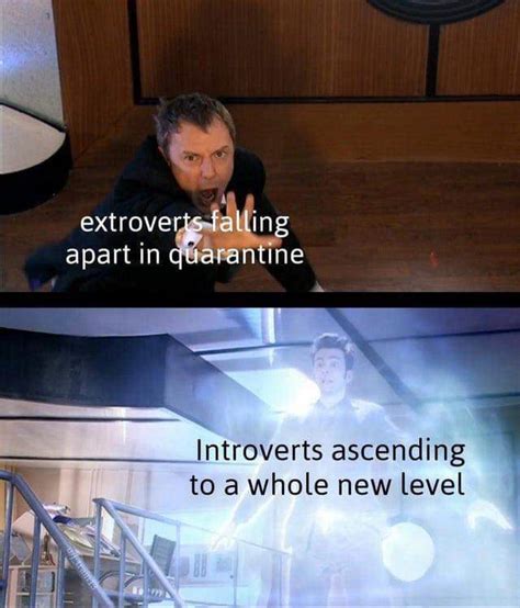 A meme about how introverts and extroverts are handling the lockdown. · A Journal of the Plague ...