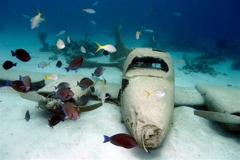 Snuba - Stuart Coves - Bahamas Dive Shop & Tours