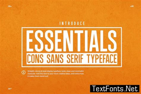 Essentials - Sans Serif Typeface Font