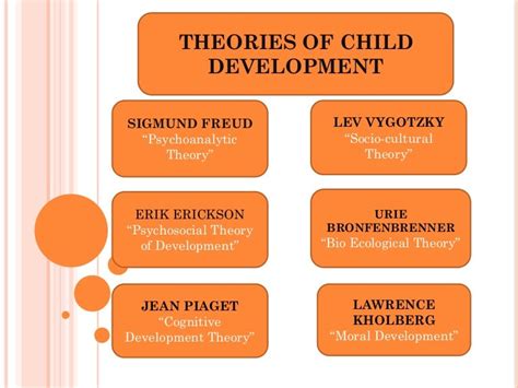 Graphic Organizer about "Theories of Child Development"