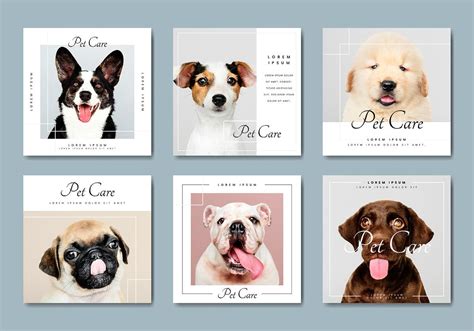 Pet care banner template vectors collection | premium image by rawpixel.com / sasi | Mascotas ...