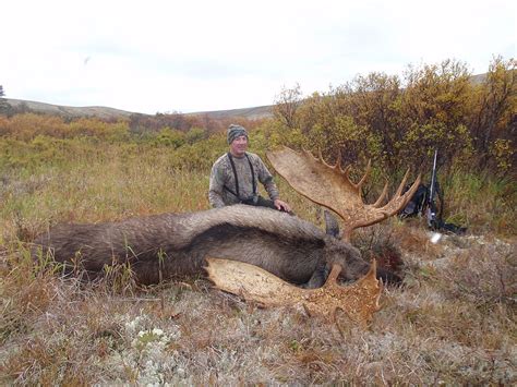 Alaska Moose Hunting