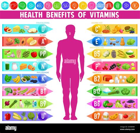 Benefits and sources of vitamins and minerals, vector infographic chart ...