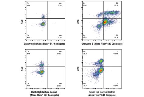 Mouse Progenitor Exhausted CD8+ T Cell Markers Flow Cytometry Panel | Cell Signaling Technology