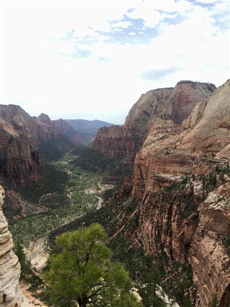 Angel’s landing. View from the top! : r/Outdoors