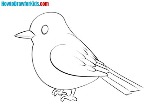 How to Draw a Sparrow for Kids