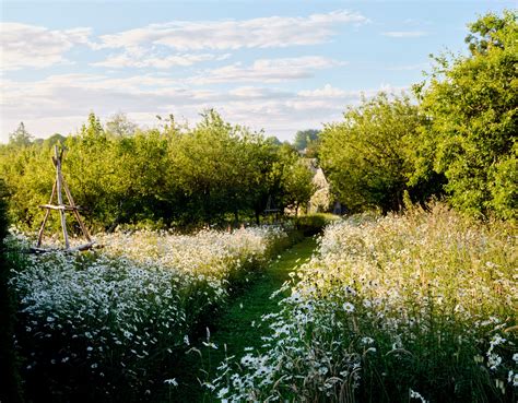 Wild, Whimsical Meadow Gardens Are the Landscape Trend to Watch | Architectural Digest