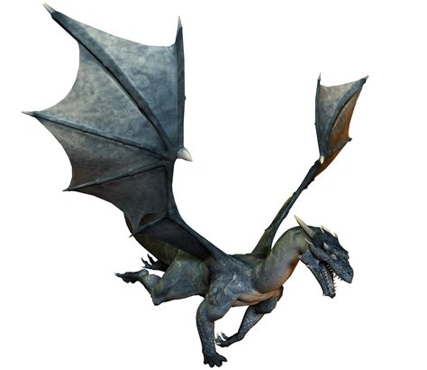 Dragon PNG transparent image download, size: 3000x2600px