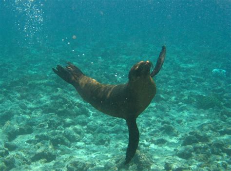 Underwater & Seaside