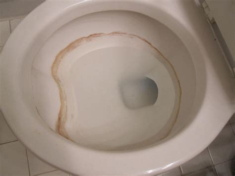 Why You Shouldn't Use Drano in Toilets - Do This Instead - Toilet Haven