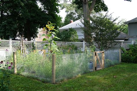 The Sustainable-Enough Garden: Woman versus squirrel