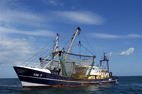 The Future of the UK Fishing Industry Post-Brexit