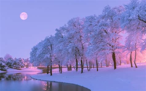 Preview Wallpaper Winter, Trees, River, Lake, Snow, - Beautiful Winter - 1440x2560 Wallpaper ...