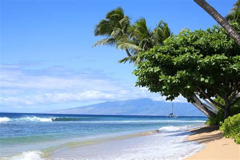 Lahaina, Maui Cruises - Excursions, Reviews, & Photos - Cruiseline.com