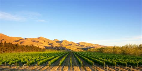 New Zealand Wine Tour: Waipara Valley | Toast