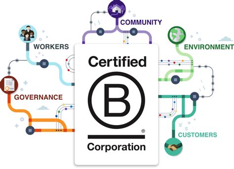 What does it mean to be a certified B Corporation? - A Beautiful Green